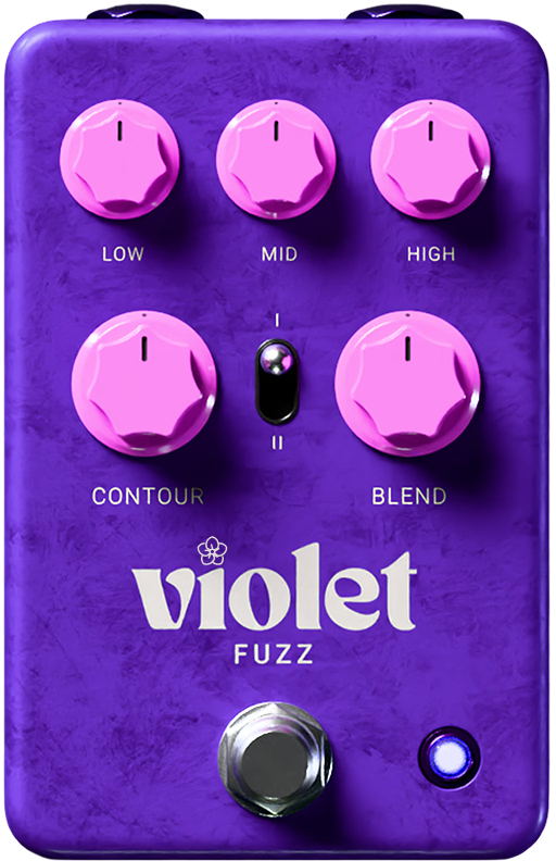 Violet Fuzz